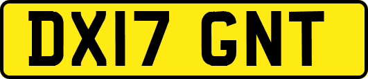 DX17GNT
