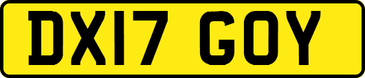 DX17GOY