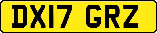 DX17GRZ
