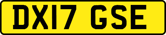 DX17GSE