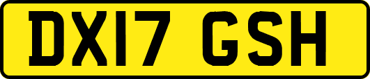 DX17GSH