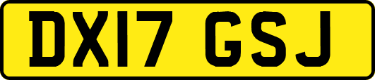 DX17GSJ