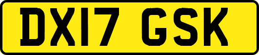 DX17GSK