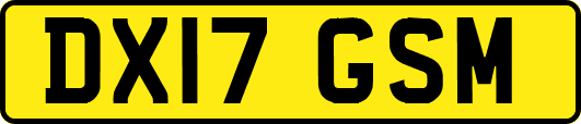 DX17GSM