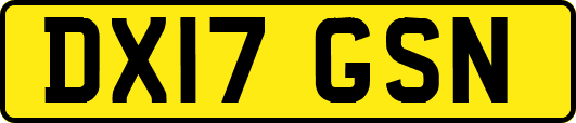 DX17GSN