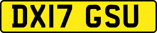 DX17GSU