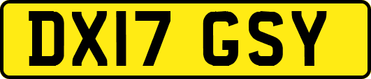 DX17GSY