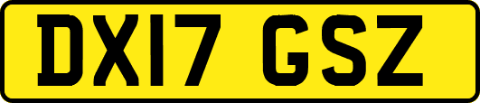 DX17GSZ