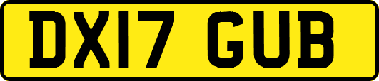 DX17GUB