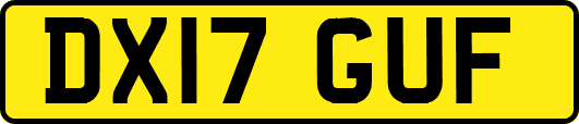 DX17GUF