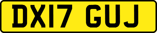 DX17GUJ