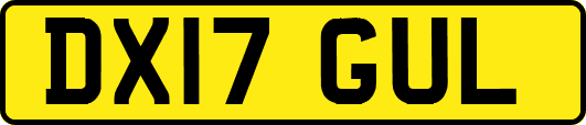 DX17GUL