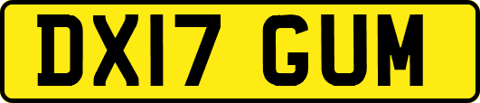 DX17GUM
