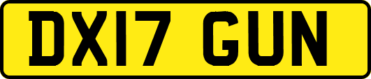 DX17GUN