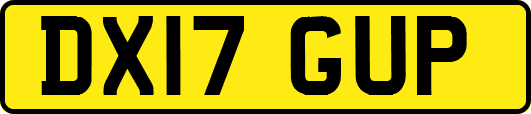 DX17GUP