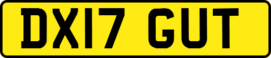 DX17GUT