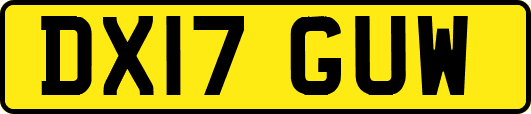 DX17GUW