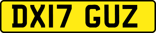 DX17GUZ