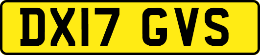 DX17GVS