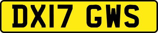 DX17GWS