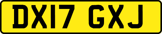 DX17GXJ