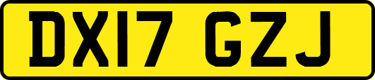 DX17GZJ
