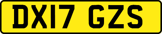 DX17GZS