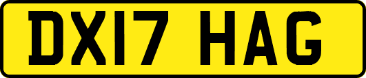 DX17HAG