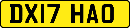 DX17HAO