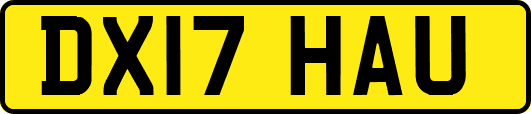 DX17HAU