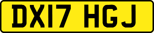 DX17HGJ