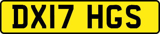 DX17HGS