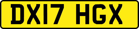 DX17HGX