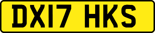 DX17HKS