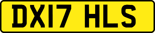 DX17HLS