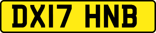 DX17HNB