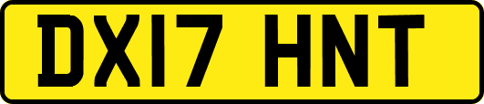 DX17HNT