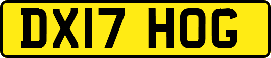 DX17HOG