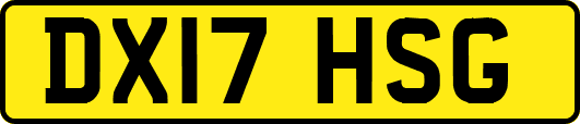 DX17HSG
