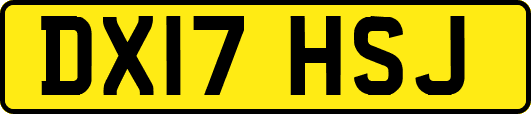 DX17HSJ