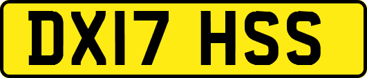 DX17HSS