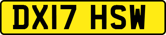 DX17HSW