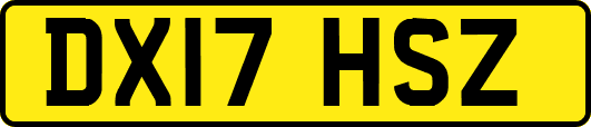 DX17HSZ