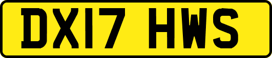 DX17HWS