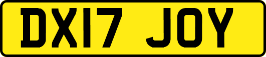 DX17JOY