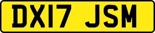 DX17JSM