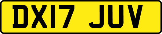 DX17JUV