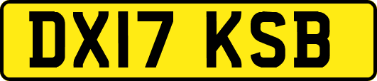 DX17KSB