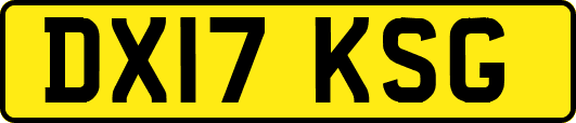 DX17KSG
