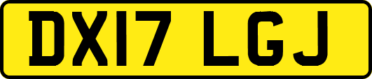 DX17LGJ